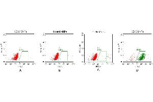 FACS analysis of CD63 MNPs A.