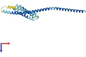AlphaFold protein structure predicition of Human Recombinant VTI1A Protein, UniprotID Q96AJ9