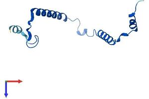 AlphaFold protein structure predicition of Mouse Recombinant Mrpl57 Protein, UniprotID Q9CQF8