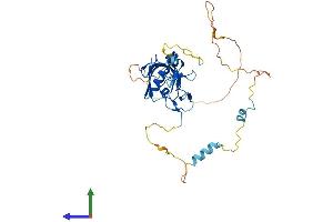 AlphaFold protein structure predicition of Human Recombinant PDLIM4 Protein, UniprotID P50479