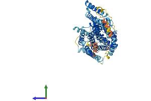 AlphaFold protein structure predicition of Human Recombinant SLC7A3 Protein, UniprotID Q8WY07