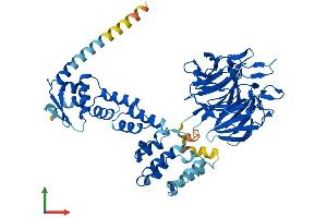 AlphaFold protein structure predicition of Mouse Recombinant Klhl7 Protein, UniprotID Q8BUL5