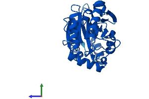 AlphaFold protein structure predicition of Mouse Recombinant Pmm2 Protein, UniprotID Q9Z2M7