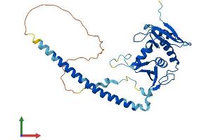 AlphaFold protein structure predicition of Mouse Recombinant Tsen34 Protein, UniprotID Q8BMZ5
