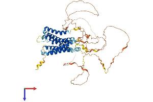 AlphaFold protein structure predicition of Mouse Recombinant Adgra1 Protein, UniprotID Q8C4G9
