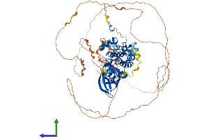 AlphaFold protein structure predicition of Mouse Recombinant Pak5 Protein, UniprotID Q8C015