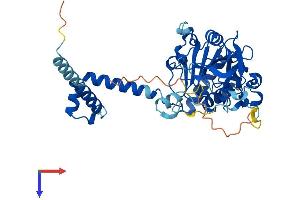 AlphaFold protein structure predicition of Mouse Recombinant Sirt7 Protein, UniprotID Q8BKJ9