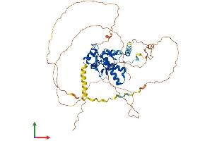 AlphaFold protein structure predicition of Mouse Recombinant Nfia Protein, UniprotID Q02780