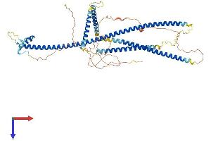 AlphaFold protein structure predicition of Human Recombinant SSX2IP Protein, UniprotID Q9Y2D8