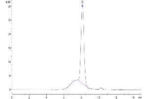 The purity of Human CD200 R1 is greater than 95 % as determined by SEC-HPLC.