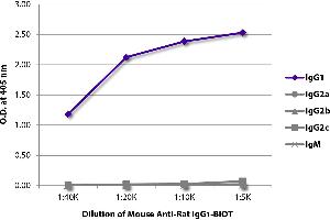 ELISA plate was coated with purified rat IgG1, IgG2a, IgG2b, IgG2c, and IgM. (Souris anti-Rat IgG1 (Fc Region) Anticorps (Biotin))
