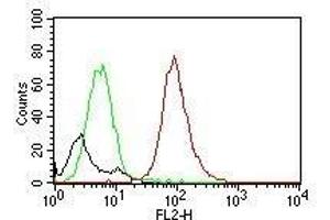 Flow Cytometry of NIH/3T3 cells. (CD63 anticorps)