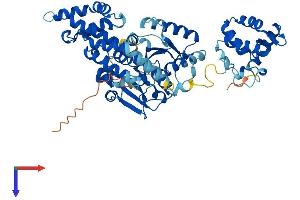 AlphaFold protein structure predicition of Mouse Recombinant Ehd4 Protein, UniprotID Q9EQP2