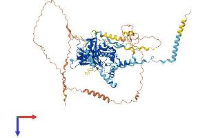 AlphaFold protein structure predicition of Human Recombinant RSPH6A Protein, UniprotID Q9H0K4