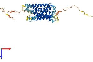 AlphaFold protein structure predicition of Human Recombinant MRGPRF Protein, UniprotID Q96AM1