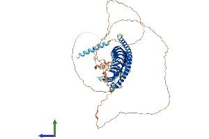 AlphaFold protein structure predicition of Human Recombinant JPH1 Protein, UniprotID Q9HDC5