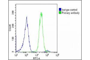 Overlay histogram showing U-2 OS cells stained with (ABIN655487 and ABIN2845009)(green line).