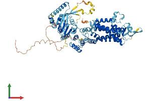 AlphaFold protein structure predicition of Mouse Recombinant Abcg8 Protein, UniprotID Q9DBM0