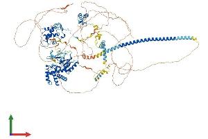 AlphaFold protein structure predicition of Human Recombinant SMARCC2 Protein, UniprotID Q8TAQ2