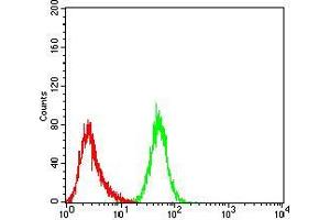 Flow cytometric analysis of HepG2 cells using DDX3X mouse mAb (green) and negative control (red).