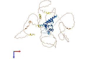 AlphaFold protein structure predicition of Mouse Recombinant Agfg1 Protein, UniprotID Q8K2K6