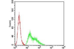 Flow cytometric analysis of Hela cells using KCND2 mouse mAb (green) and negative control (red).