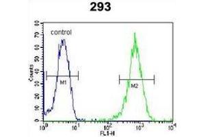 Flow cytometric analysis of 293 cells (right histogram) compared to a negative control cell (left histogram) using LARP6  Antibody (N-term), followed by FITC-conjugated goat-anti-rabbit secondary antibodies.