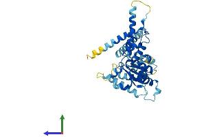AlphaFold protein structure predicition of Human Recombinant ATAD1 Protein, UniprotID Q8NBU5