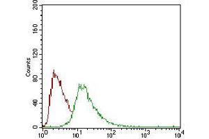 Flow cytometric analysis of HepG2 cells using CD93 mouse mAb (green) and negative control (red). (CD93 anticorps  (AA 474-535))
