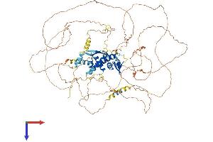 AlphaFold protein structure predicition of Mouse Recombinant E2f7 Protein, UniprotID Q6S7F2