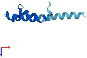 AlphaFold protein structure predicition of Human Recombinant PIGY Protein, UniprotID Q3MUY2