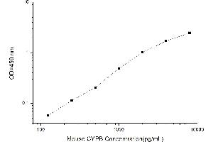 Typical standard curve (PPIB Kit ELISA)