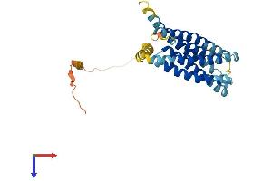 AlphaFold protein structure predicition of Human Recombinant TMEM163 Protein, UniprotID Q8TC26
