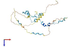 AlphaFold protein structure predicition of Human Recombinant MED19 Protein, UniprotID A0JLT2