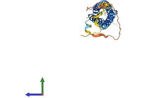 AlphaFold protein structure predicition of Mouse Recombinant Syngr1 Protein, UniprotID O55100