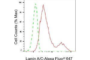 Flow cytometric analysis of Lamin A/C expression in HT- cells using Lamin A/C antibody (ABIN7799228), 1:2,000).