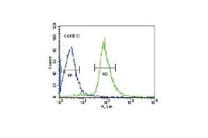 EHD3 Antibody (N-term) (ABIN652345 and ABIN2841577) flow cytometric analysis of HepG2 cells (right histogram) compared to a negative control cell (left histogram). (EHD3 anticorps  (N-Term))