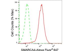 Flow cytometric analysis of SMARCA4 expression in HepG2 cells using SMARCA4 antibody (ABIN7800476), 1:2,000).