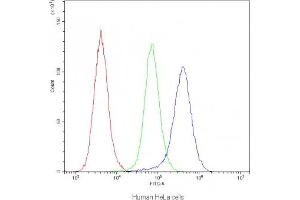 Flow cytometry testing of human HeLa cells with IDE antibody at 1ug/10^6 cells (blocked with goat sera) (IDE anticorps)
