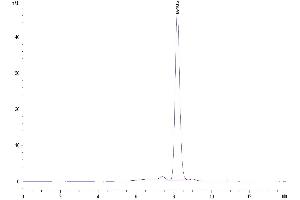 The purity of Human CD40 Ligand (Trimer) is greater than 95 % as determined by SEC-HPLC. (CD40 Ligand Protein (CD40LG) (Trimer) (Fc Tag))