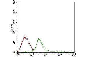 Flow cytometric analysis of Jurkat cells using DIS3L2 mouse mAb (green) and negative control (red). (DIS3L2 anticorps  (AA 27-250))
