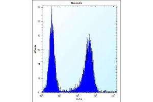 Flow Cytometry (FACS) image for anti-Lysophospholipase Protein 1 (LYPL1) antibody (ABIN2997640) (LYPL1 anticorps)