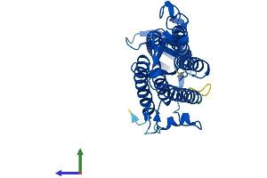 AlphaFold protein structure predicition of Mouse Recombinant Tecr Protein, UniprotID Q9CY27