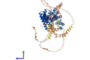 AlphaFold protein structure predicition of Human Recombinant GPSM1 Protein, UniprotID Q86YR5