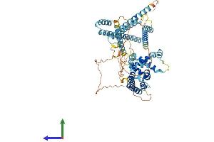 AlphaFold protein structure predicition of Mouse Recombinant Rundc1 Protein, UniprotID Q0VDN7