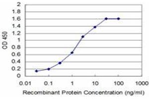 Detection limit for recombinant GST tagged DHFR is approximately 0. (Dihydrofolate Reductase anticorps  (AA 88-187))