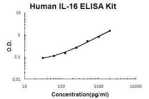 Human IL-16 PicoKine ELISA Kit standard curve (IL16 Kit ELISA)