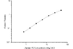 Thyroglobulin (TG) ELISA Kit