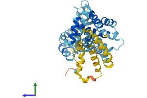 AlphaFold protein structure predicition of Human Recombinant DNAJC22 Protein, UniprotID Q8N4W6