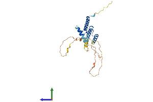 AlphaFold protein structure predicition of Human Recombinant HELT Protein, UniprotID A6NFD8